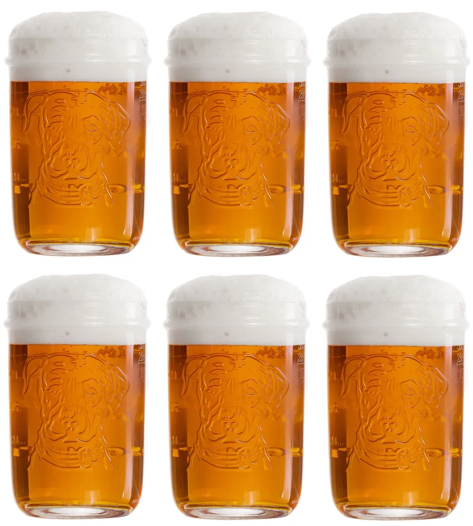 Lagunitas Biergläser 300 Ml - 6 Stück