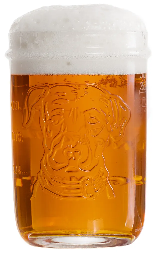 Lagunitas Biergläser 300 Ml - 6 Stück – Bild 2